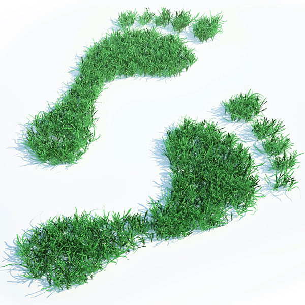green grass footprints (an ecology symbol) (large image)