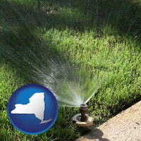 new-york map icon and a directional lawn sprinkler
