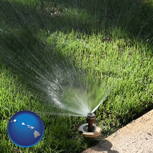 a directional lawn sprinkler - with Hawaii icon