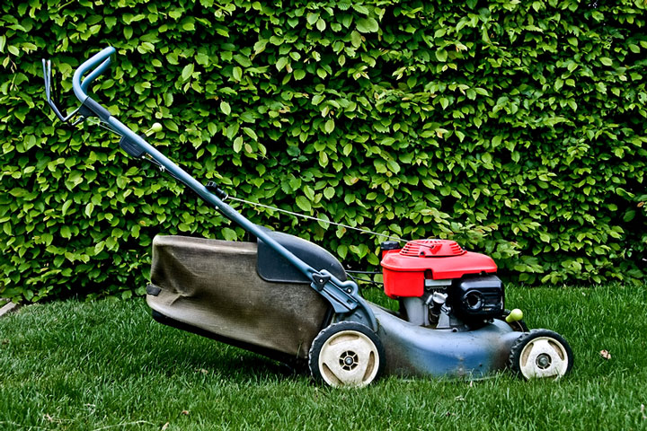 a power lawn mower (large image)