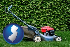 new-jersey map icon and a power lawn mower