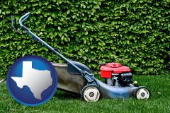 texas map icon and a power lawn mower
