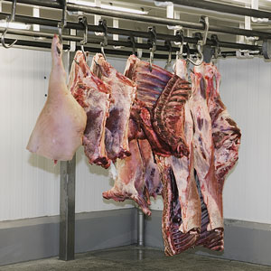 meat carcasses in a meat locker