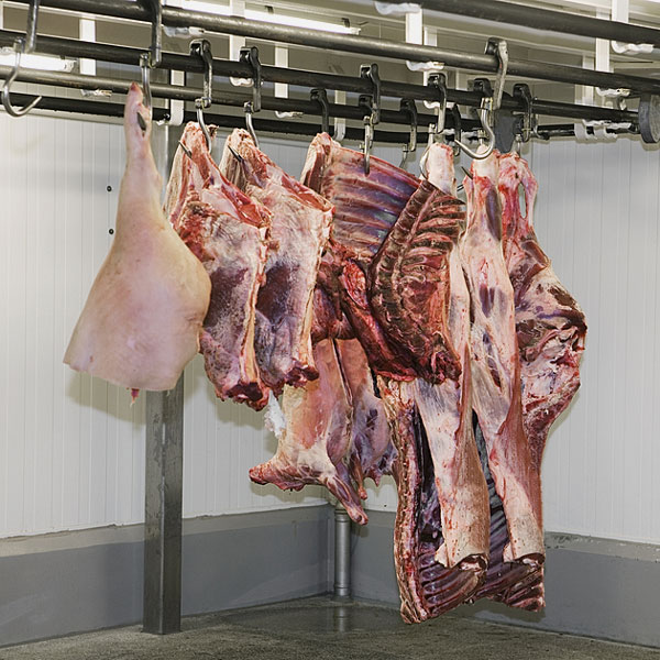 meat carcasses in a meat locker (large image)
