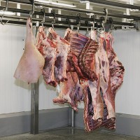 meat carcasses in a meat locker