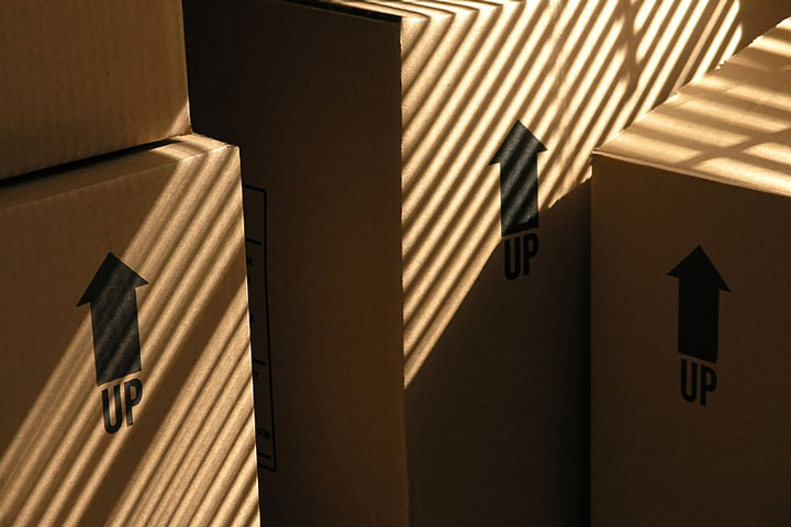 moving boxes (large image)