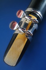 a clarinet reed