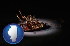 illinois map icon and a dead cockroach