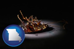 missouri map icon and a dead cockroach
