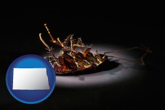 north-dakota a dead cockroach