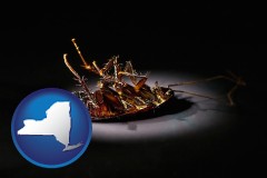 new-york map icon and a dead cockroach