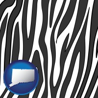 connecticut map icon and a zebra print