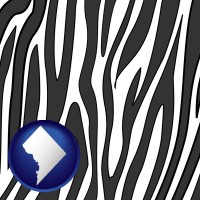 washington-dc map icon and a zebra print