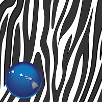 hawaii map icon and a zebra print