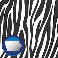 iowa map icon and a zebra print
