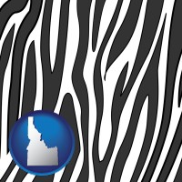 idaho map icon and a zebra print