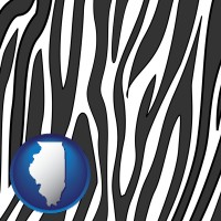 illinois map icon and a zebra print