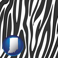 indiana map icon and a zebra print
