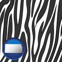 kansas map icon and a zebra print