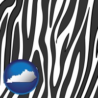 kentucky map icon and a zebra print