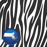 massachusetts map icon and a zebra print