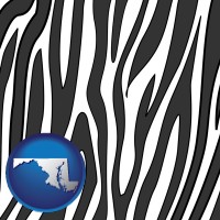 maryland map icon and a zebra print