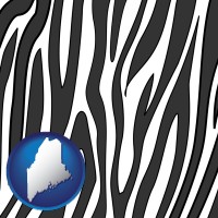 maine map icon and a zebra print