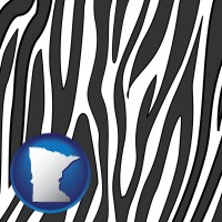 minnesota map icon and a zebra print