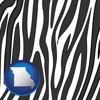 missouri map icon and a zebra print