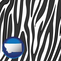 montana map icon and a zebra print