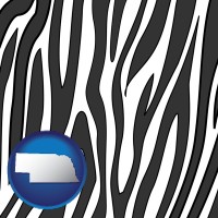nebraska map icon and a zebra print