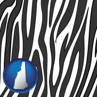 new-hampshire map icon and a zebra print