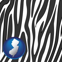 new-jersey map icon and a zebra print
