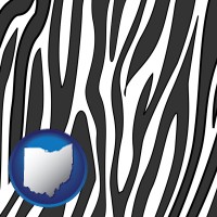 ohio map icon and a zebra print