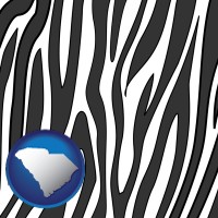 south-carolina map icon and a zebra print