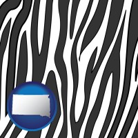 south-dakota map icon and a zebra print