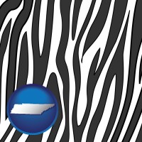 tennessee map icon and a zebra print