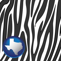 texas map icon and a zebra print