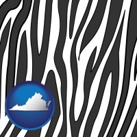 virginia map icon and a zebra print