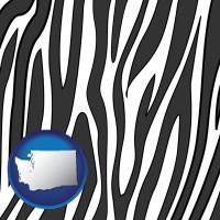 washington map icon and a zebra print