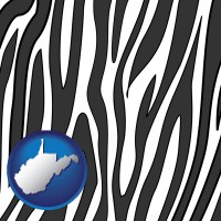 west-virginia map icon and a zebra print