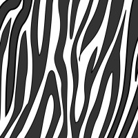 a zebra print