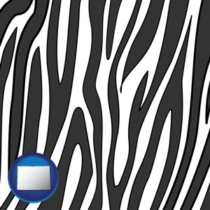 a zebra print - with Colorado icon