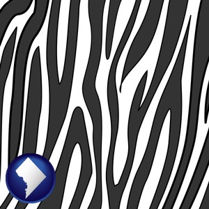 a zebra print - with Washington, DC icon