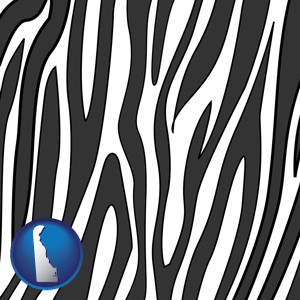 a zebra print - with Delaware icon