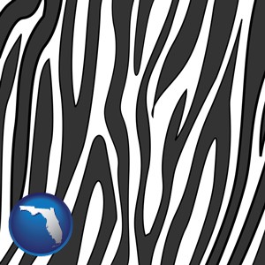 a zebra print - with Florida icon