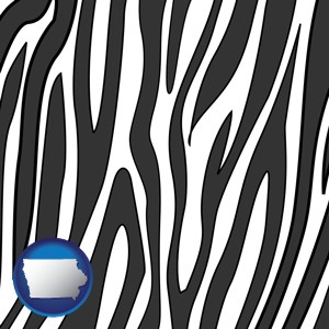 a zebra print - with Iowa icon