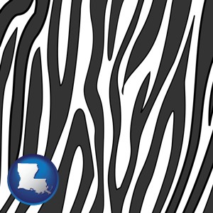 a zebra print - with Louisiana icon