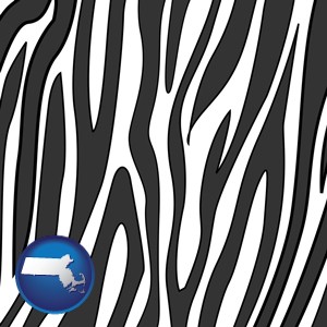 a zebra print - with Massachusetts icon