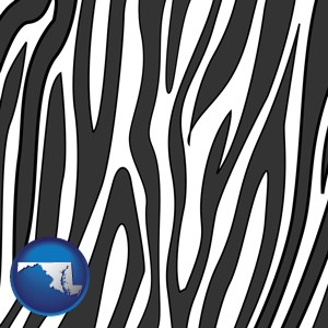 a zebra print - with Maryland icon
